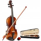 [US Direct] Basswood 1/2 Acoustic Violin with Case Bow Rosin Inside Soft Box Natural Violin Musical Instruments Natural color