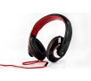 Headphones / Earphones