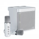 100w Wireless Dual Microphone Bluetooth-compatible Speaker Portable Smart External Karaoke Device Supports Voice-changing White
