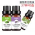 10ml Natural Plant Essential Oil Whitening Moisturizing Soothing Relaxing Essence Oils Body Massage Care Essential Oil