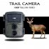 12MP 1080P Trail Camera Wildcamera Wild Surveillance Night Version Wildlife Scouting Cameras Photo Traps Track PR600A