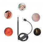 2 in 1 USB Otoscope Borescope Ear Camera Endoscope Inspection Camera Visual Earpick Tool for Ear Nose Throat Oral <span style='color:#F7840C'>Care</span> black