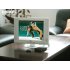 250GB HDD Media Player   Media Player with 250GB