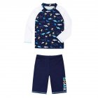 2pcs Boys Split Swimwear Sunscreen Long Sleeves Swimsuit Boxers Set For 2-10 Years Old Kids 329 blue and white 4-5Y 8