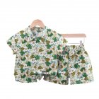 2pcs Children Shirt Shorts Suit Short Sleeves Lapel Trendy Leaf Printing Tops Shorts For 1-6 Years Old Kids light green 3-4Y 110cm
