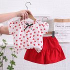 2pcs Girls Summer Suit Short Sleeves Single Breasted T-shirt Shorts Two-piece Set For 1-4 Years Old Kids red 2-3Y 100cm
