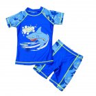 2pcs Kids Boys Split Swimsuit Short Sleeve Crew Neck Shirt With Swimming Trunks Sunscreen Bathing Suits shark-shaped 7-8Y 7-8 Size