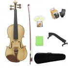 4/4 Full Size Acoustic Violin For Beginners Starter Kit With Case Shoulder Rest Bow Strings Tuner Cleaning Cloth Wood color full set