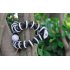Adjustable Strong Flexible Spider Camera Tripod 