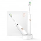 Adult Waterproof Ultrasonic Automatic Toothbrush USB Rechargeable Toothbrush White