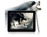Andorid 4.1 Dual Core 9.7 Inch PC - Fenris
