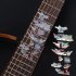 Animal Plant Pattern Guitar Fingerboard Fretboard Stickers Guitar Decals Decoration B  cat 