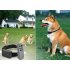 Audio Dog Training Collar   Dog Training Collar