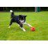 Autofetch Motion Pet Ball   Mobile Powerball for Dogs and Cats