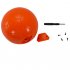 Autofetch Motion Pet Ball   Mobile Powerball for Dogs and Cats