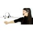 Bluetooth Headset   Bluetooth Microphone