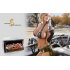 Car DVD Player with 3G   Car Stereo with 3G