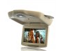 11 Inch Roof-Mounted Car DVD