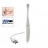 Dental Intra Oral Camera   Computer USB Connection