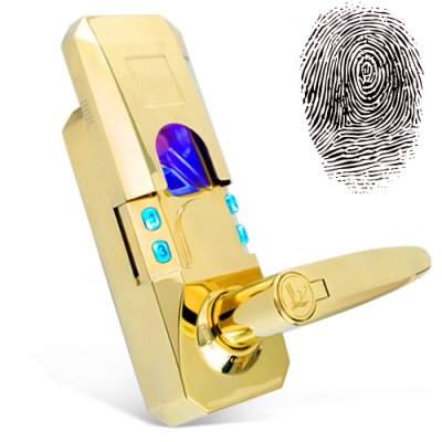 Fingerprint + Access Code Door Lock (Gold Edition)