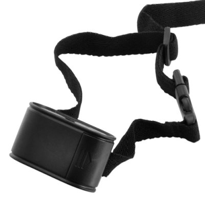 dog collar