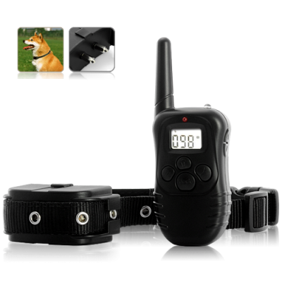 Pet Dog Training Color