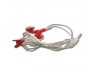 Earphone
