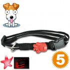 Find your canine friend in the dark with this LED dog collar  Brought to you by Chinavasion   the leader in China Electronics 