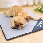 Foldable Pet Cooling Mat Cool Pad Summer Sleeping Cooling Bed Cushion for Dog Cat Puppy Light blue_S-small