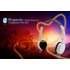 Foldable Bluetooth Headphone with Mic