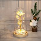 Glass  Dome  Cover  Roses  Ornaments Colorful Bendable Led Light Bar Valentine Day Creative Gift Weddings Family Dinners Decoration Warm white light + foam ball