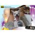 HD Video Camcorder   Optical Zoom Camcorder