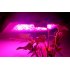 Hydroponic LED Grow Light with 80 LEDs  delivering 240 Watt of power and packing 6 different colors including 2x UV LEDS