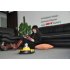 Intelligent Robot Vacuum Cleaner with Wireless IP Camera