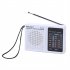 KK228 Portable AM FM 2 Band Radio Battery Operated Radios Easy Adjustment Compact Radios Player For Senior Home Walking black