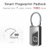 L1 Fingerprint Padlock Smart Security Door Lock IP66 Waterproof Keyless Unlock   Silver