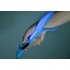 LED Dog Leash   Glow In The Dark Dog Leash