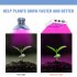 Led Grow Light Indoor Ip65 Waterproof Dustproof Plant Lamp Full Spectrum Greenhouse Flower Seed Tent Bulb EU Plug
