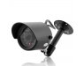 PAL Mini Security Camera - Dark Wolf 