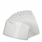 PM2.5 Filter Face Guard Dustproof Cotton with Breathing Valve Anti Dust Allergy 10 filters_One size