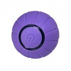 Pet Cats Smart Automatic Rolling Ball Bite-resistant Usb Charging Glowing Training Interactive Toys Purple