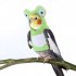 Pet Cosplay Clothes  Cute Cartoon Costume for Adults Bird Parrot M