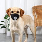 Pet Dog Soft Face Cotton Mouth Cover Respiratory Filter Anti-fog Haze Muzzle Face Guard Black 3pcs/set_L