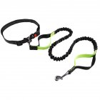 Premium Dog Leash Hands Free Length Handle Bungee Leash Adjustable Waist Belt Elastic Bungees Retractable Rope For Walking Hiking Jogging Biking Running black green 2.5mmx140-170cm