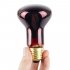 R63 Infrared Sterilize Heating Light Bulb 60W E27