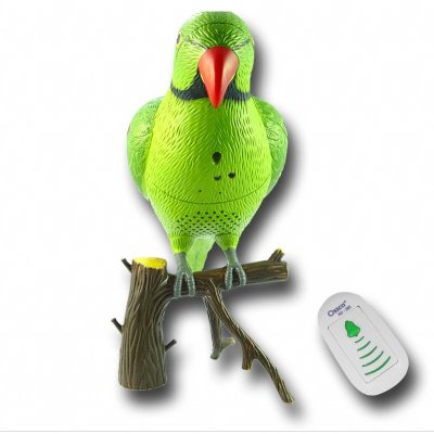 Doorbell