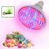 Red Blue LED Hydroponic Light Bulb