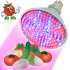 Red Blue LED Hydroponic Light Bulb
