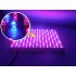Red Blue LED Hydroponic Light Panel