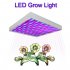 Red Blue LED Hydroponic Light Panel